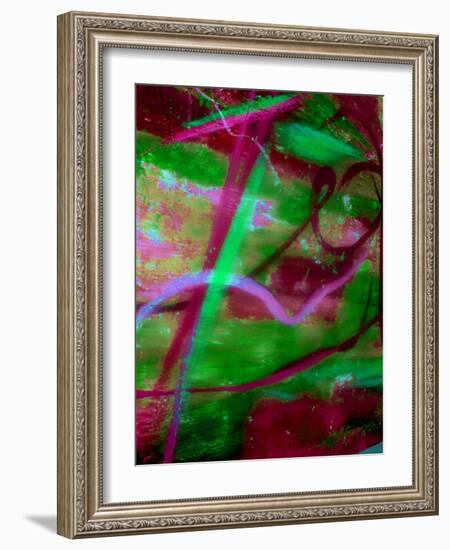 Fuschia Dreams II-Ruth Palmer 2-Framed Art Print