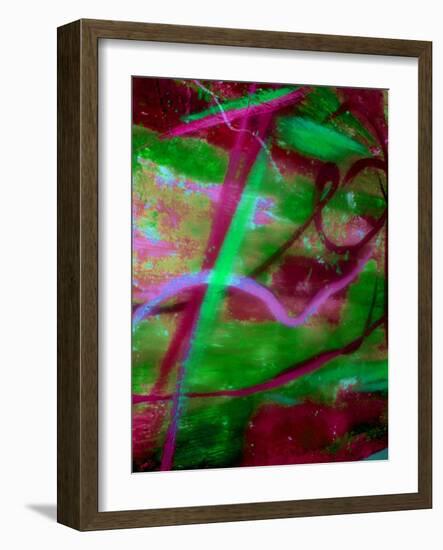 Fuschia Dreams II-Ruth Palmer 2-Framed Art Print