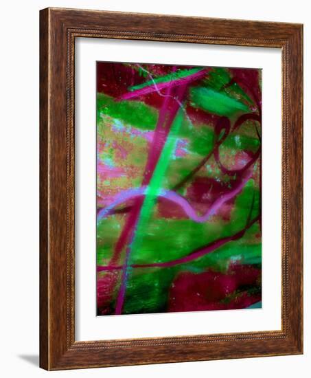 Fuschia Dreams II-Ruth Palmer 2-Framed Art Print