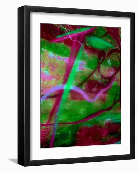 Fuschia Dreams II-Ruth Palmer 2-Framed Art Print