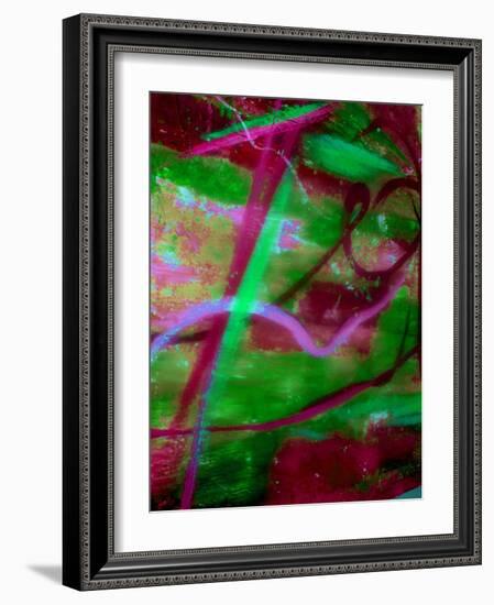 Fuschia Dreams II-Ruth Palmer 2-Framed Art Print