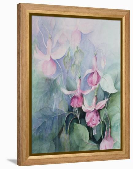 Fuschia, Pink Coachman-Karen Armitage-Framed Premier Image Canvas