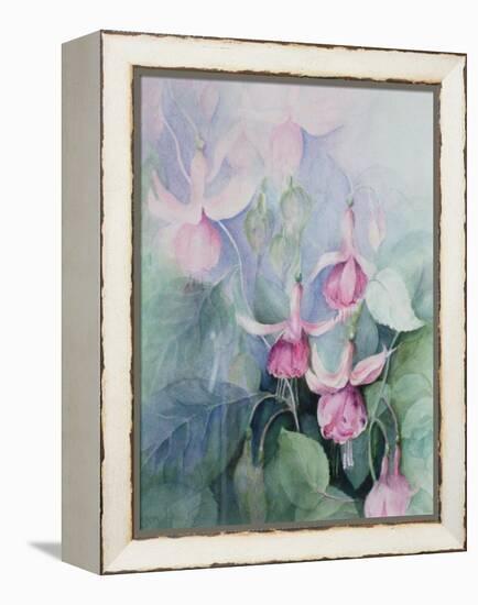 Fuschia, Pink Coachman-Karen Armitage-Framed Premier Image Canvas