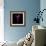 Fuschia-Magda Indigo-Framed Photographic Print displayed on a wall