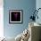 Fuschia-Magda Indigo-Framed Photographic Print displayed on a wall