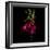 Fuschia-Magda Indigo-Framed Photographic Print