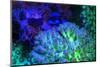 Fused Staghorn Coral, Day Fluorescing, Palau, Rock Islands, Micronesia-Stuart Westmorland-Mounted Photographic Print