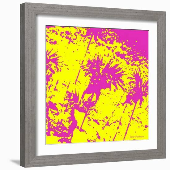 Fushia Blooms-Herb Dickinson-Framed Photographic Print