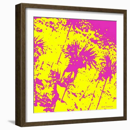 Fushia Blooms-Herb Dickinson-Framed Photographic Print