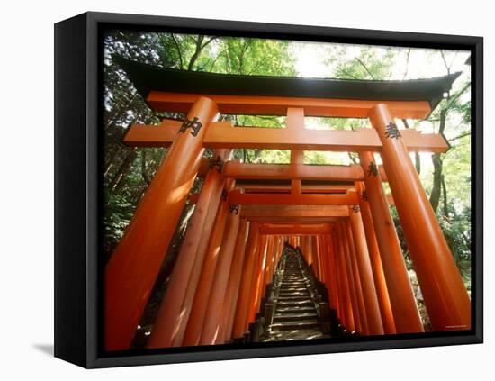 Fushimi Inari Shrine-null-Framed Premier Image Canvas