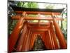 Fushimi Inari Shrine-null-Mounted Photographic Print