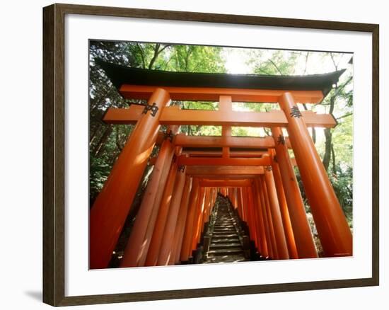 Fushimi Inari Shrine-null-Framed Photographic Print