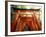 Fushimi Inari Shrine-null-Framed Photographic Print