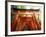 Fushimi Inari Shrine-null-Framed Photographic Print