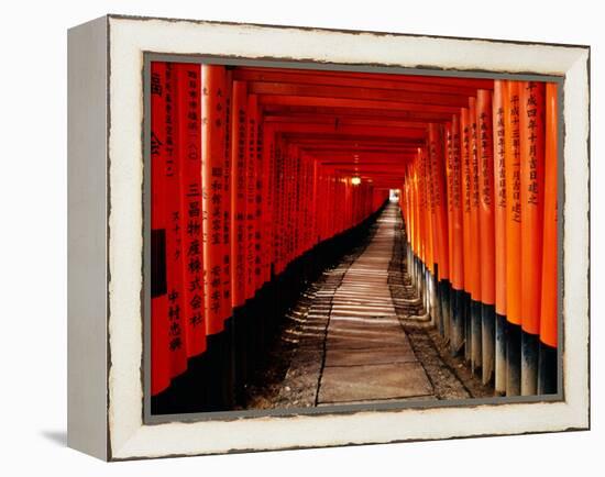 Fushimi-Inari Taisha "Torii Tunnels," Japan-Frank Carter-Framed Premier Image Canvas