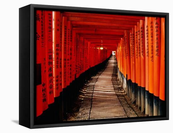 Fushimi-Inari Taisha "Torii Tunnels," Japan-Frank Carter-Framed Premier Image Canvas