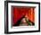 Fushimi-Inari Taisha "Torii Tunnels," Japan-Frank Carter-Framed Photographic Print