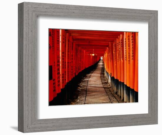 Fushimi-Inari Taisha "Torii Tunnels," Japan-Frank Carter-Framed Photographic Print