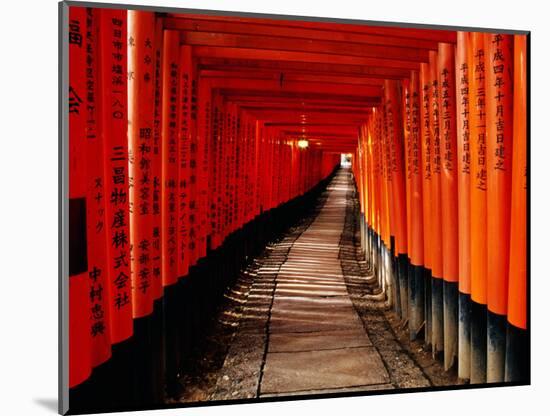 Fushimi-Inari Taisha "Torii Tunnels," Japan-Frank Carter-Mounted Photographic Print