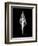 Fusinus Colus Xray-Albert Koetsier-Framed Premium Giclee Print