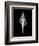 Fusinus Colus Xray-Albert Koetsier-Framed Art Print