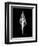 Fusinus Colus Xray-Albert Koetsier-Framed Art Print