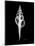 Fusinus Colus Xray-Albert Koetsier-Mounted Art Print