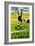 Futbol Promotion - Campo Del Vivero-Lantern Press-Framed Art Print