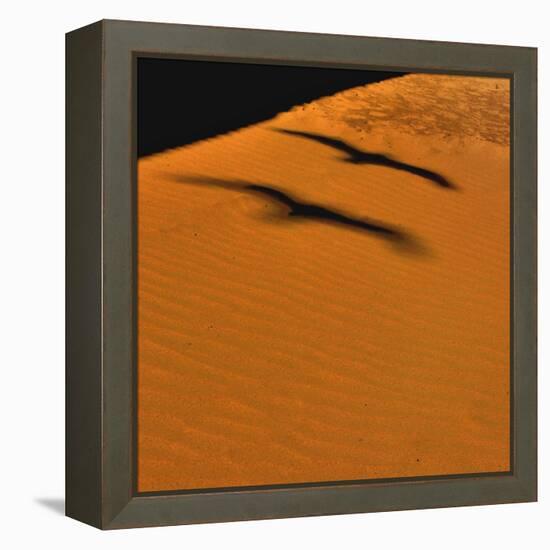 Futur Simple-Viviane Fedieu Daniel-Framed Stretched Canvas