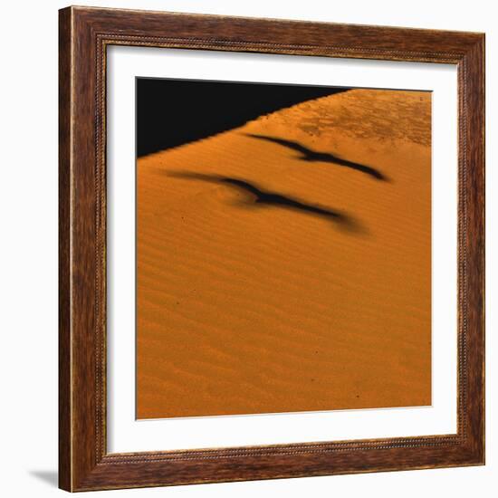 Futur Simple-Viviane Fedieu Daniel-Framed Photographic Print