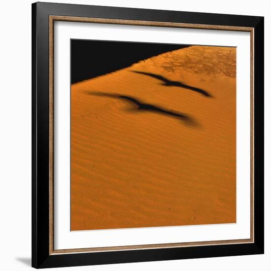 Futur Simple-Viviane Fedieu Daniel-Framed Photographic Print