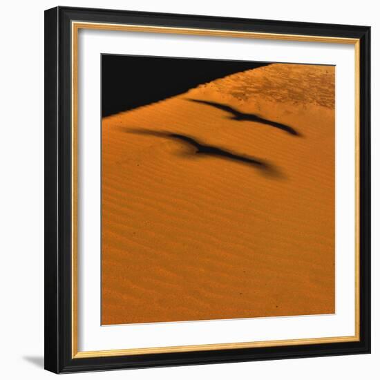 Futur Simple-Viviane Fedieu Daniel-Framed Photographic Print