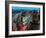 Futuristic City-Roger Harris-Framed Photographic Print