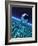 Futuristic Earth, Conceptual Artwork-Victor Habbick-Framed Photographic Print