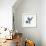 Fuzzy Bird II-Madeleine Millington-Framed Giclee Print displayed on a wall