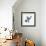 Fuzzy Bird II-Madeleine Millington-Framed Giclee Print displayed on a wall