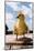 Fuzzy Duckling-William P. Gottlieb-Mounted Photographic Print