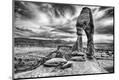 Photographic Print
