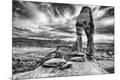 Photographic Print