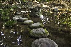 Stone Zen Path-Fyletto-Photographic Print