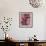 Fynbos Flowers-Paula Mills-Framed Giclee Print displayed on a wall