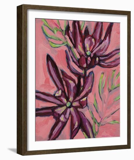 Fynbos Flowers-Paula Mills-Framed Giclee Print