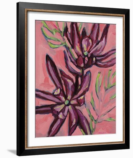 Fynbos Flowers-Paula Mills-Framed Giclee Print