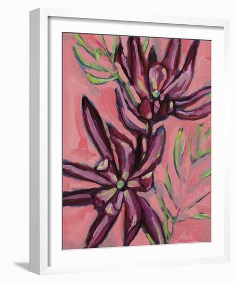 Fynbos Flowers-Paula Mills-Framed Giclee Print