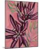 Fynbos Flowers-Paula Mills-Mounted Giclee Print