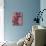 Fynbos Flowers-Paula Mills-Mounted Giclee Print displayed on a wall