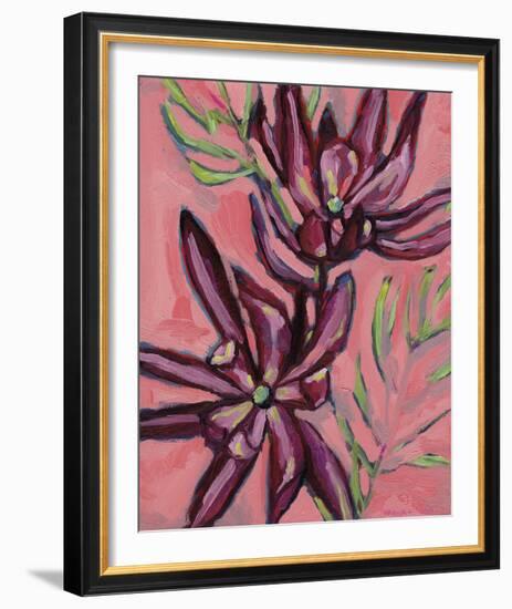 Fynbos Flowers-Paula Mills-Framed Giclee Print