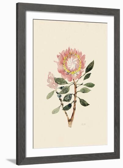 Fynbos-The Vintage Collection-Framed Giclee Print