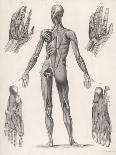 Showing Muscles of Body Hands and Feet-G. Aikmann-Framed Stretched Canvas