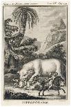 An Extraordinary Depiction of a Hippopotamus Savaging Hunters in an Exotic Landscape-G. Duclos-Framed Art Print